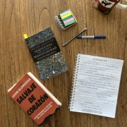 IMG_4295 de tamaño mediano